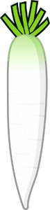 ダイコンのイラスト