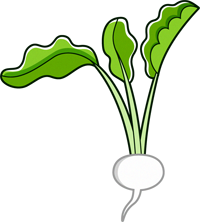 かぶのイラスト