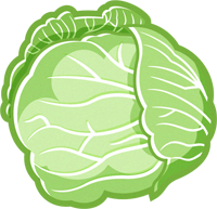 キャベツのイラスト/一玉