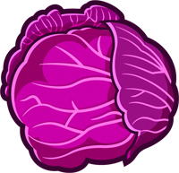 紫キャベツのイラスト/一玉