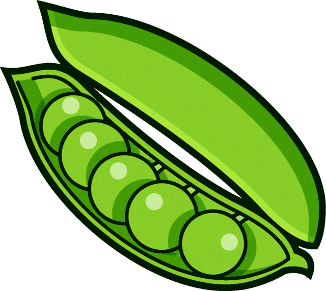 エンドウ豆のイラスト