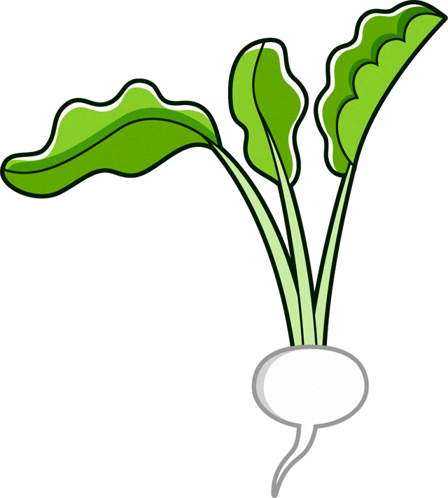 かぶのイラスト