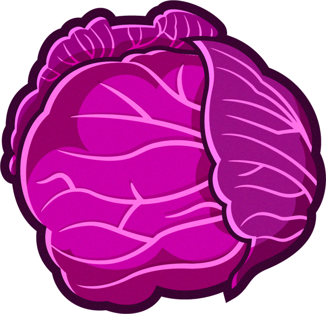 紫キャベツのイラスト/一玉