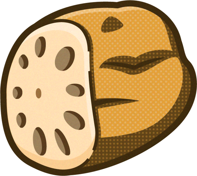 蓮根のイラスト