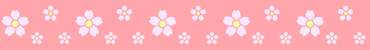 桜の帯ライン・罫線イラスト