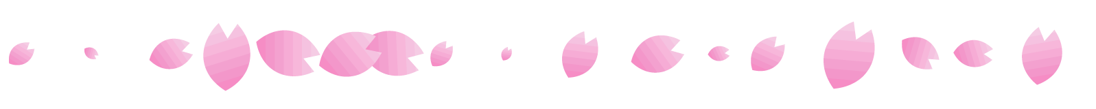 桜の花ライン・罫線イラスト/桜の花びら