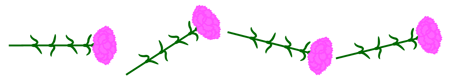 カーネーションのライン・罫線イラスト/ピンク・ジグザク