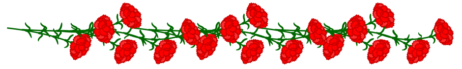カーネーションのライン・罫線イラスト/赤