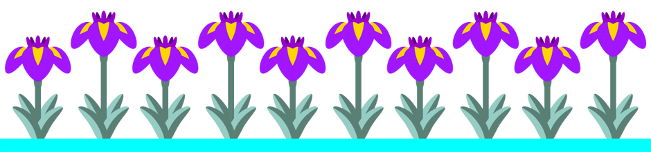 花菖蒲のライン・罫線イラスト