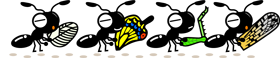 蟻の行列イラスト（虫の死骸や羽根等を運ぶ）