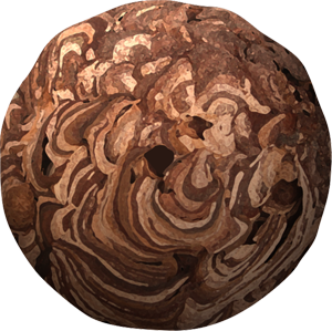 スズメバチの巣イラスト