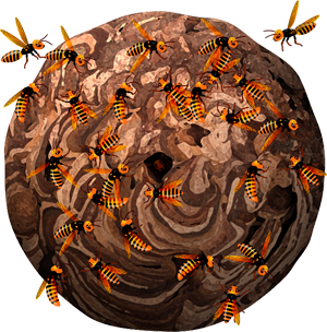 スズメバチの巣イラスト/危険