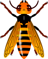 スズメバチのイラスト/真上