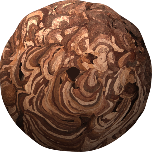 スズメバチの巣イラスト