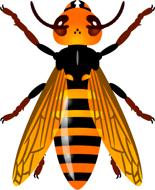 スズメバチのイラスト/真上