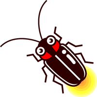 ヘイケボタルのイラスト