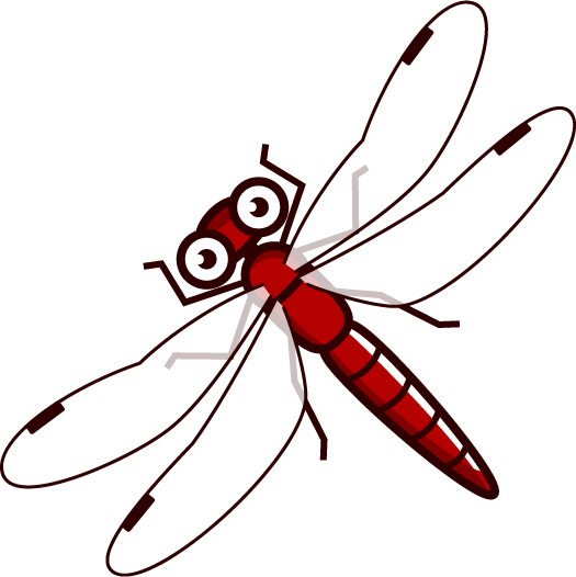 ナツアカネのイラスト