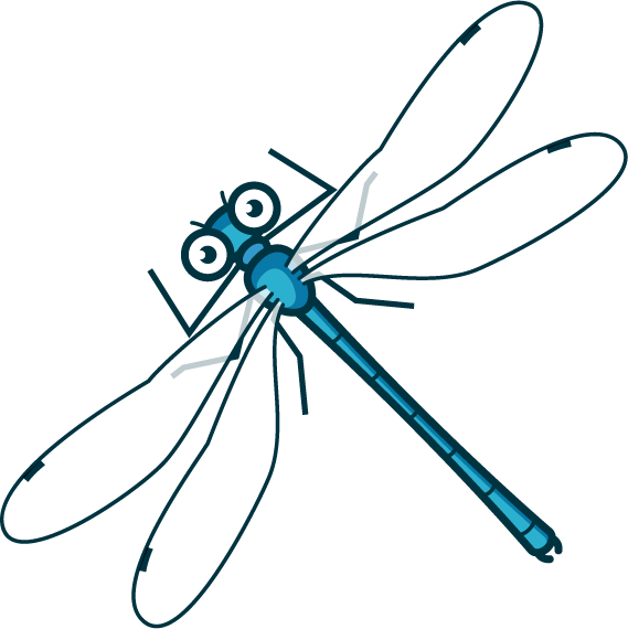 オオアオイトトンボのイラスト