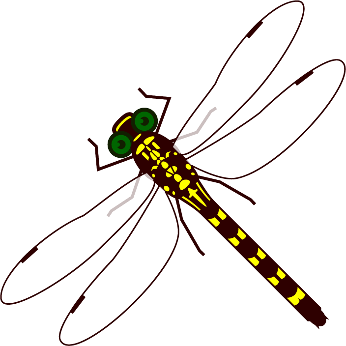 コオニヤンマのイラスト