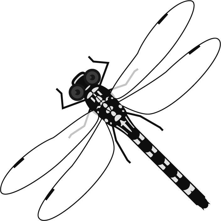 コオニヤンマのイラスト/グレースケール