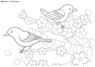 桜の木にとまるメジロとウグイスの塗り絵