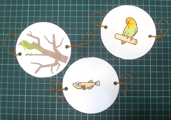 メダカのソーマトロープ