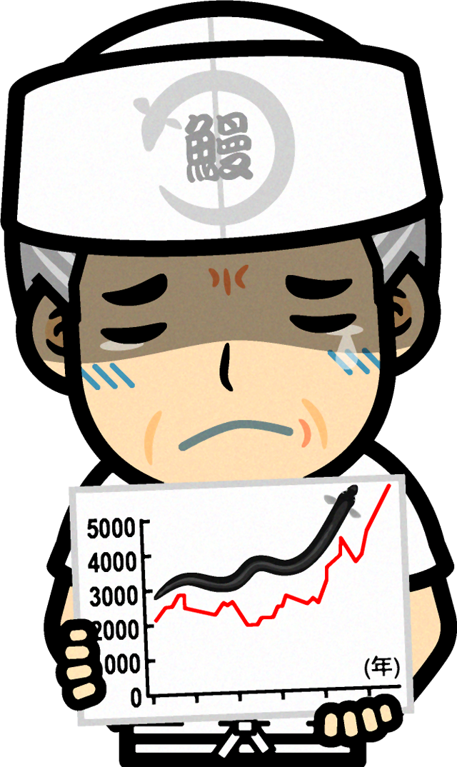 鰻職人のイラスト/ウナギ登り