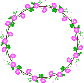 朝顔の飾り罫イラスト/ピンク