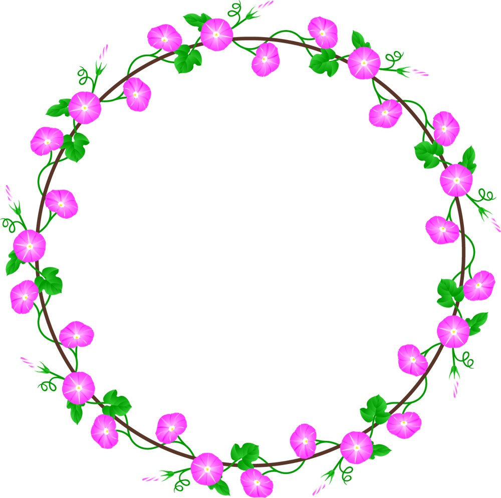 朝顔の飾り罫イラスト/ピンク