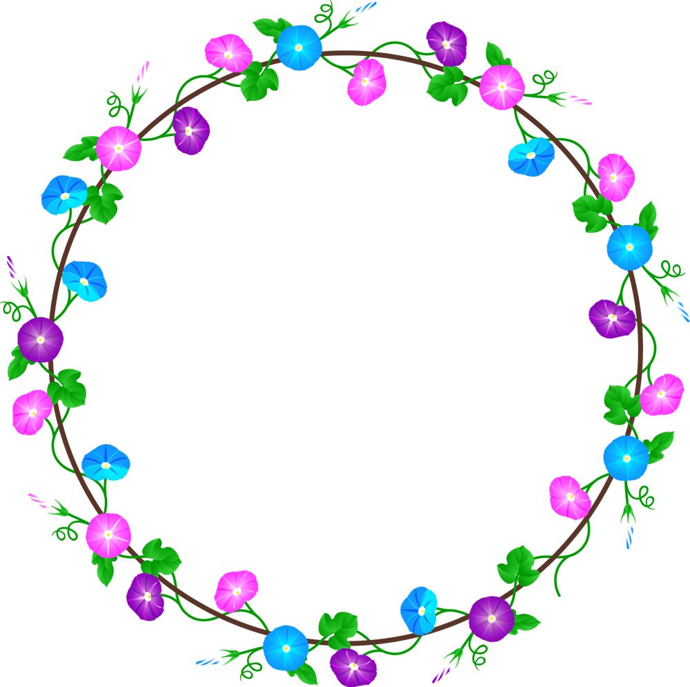 朝顔の飾り罫イラスト/3色