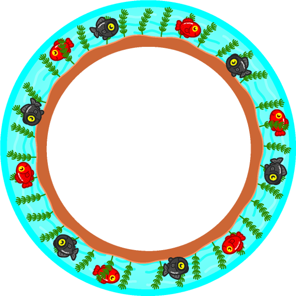 金魚と出目金飾り罫イラスト