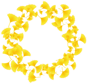 たくさんの銀杏の飾り罫イラスト