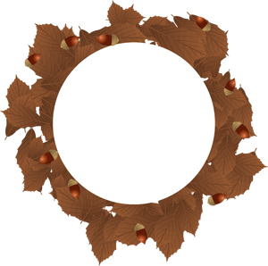 ドングリと落ち葉の飾り罫イラスト/コナラ