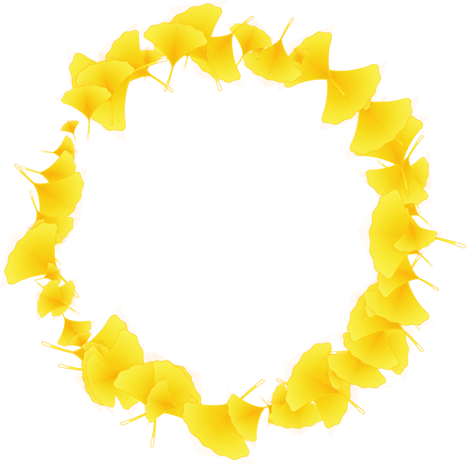 銀杏の飾り罫イラスト