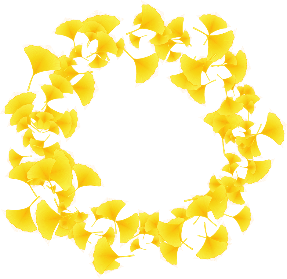 たくさんの銀杏の飾り罫イラスト