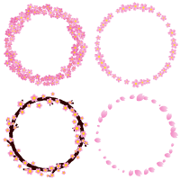 桜の飾り罫イラスト
