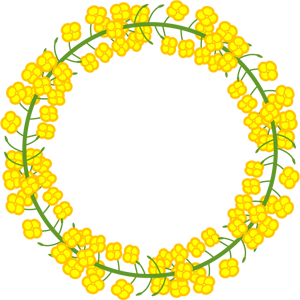 菜の花飾り罫イラスト