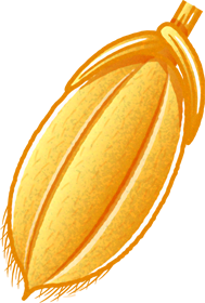 お米のイラスト/もみ付き玄米