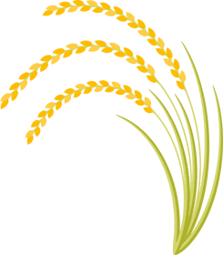 稲穂のイラスト