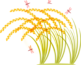 稲穂のイラスト/赤とんぼ