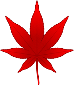 紅葉の葉イラスト