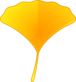 銀杏の葉イラスト