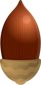 ドングリのイラスト/コナラ