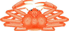ズワイガニのイラスト
