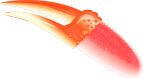 ズワイガニの爪イラスト