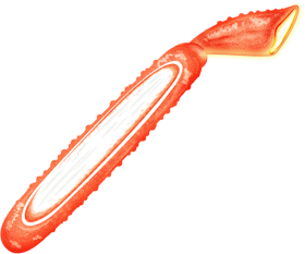 ズワイガニの脚イラスト_カット