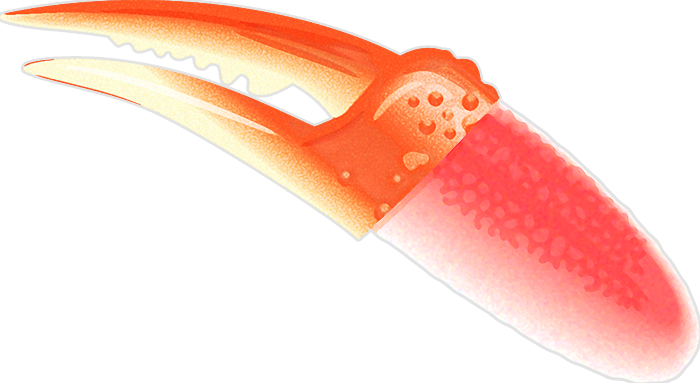 ズワイガニの爪イラスト