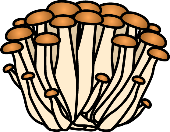しめじのイラスト