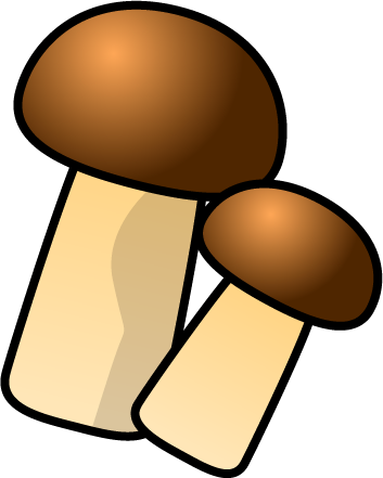 きのこがいっぱいのイラスト