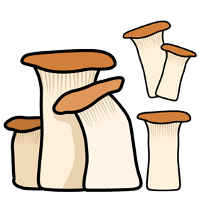 えりんぎのイラスト